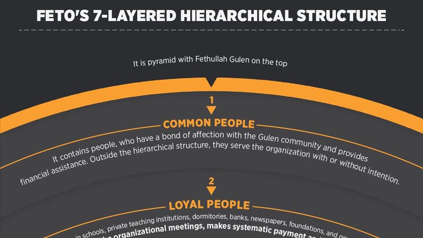 FETO's 7-layered hierarchical structure