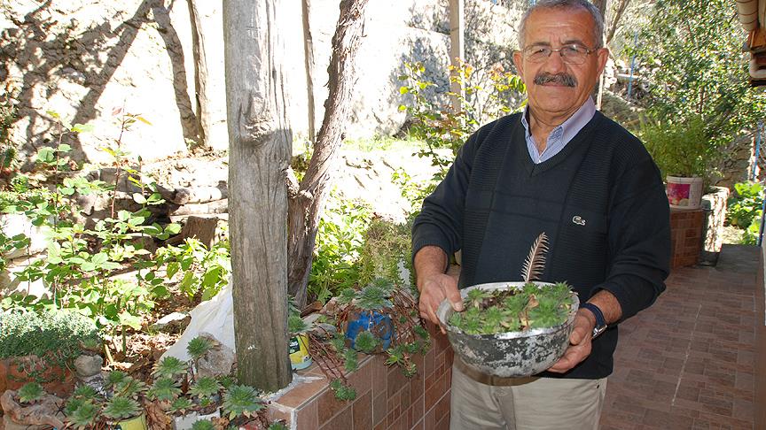 Emekli öğretmenin "geri dönüşüm saksıları" mahalleliye örnek oldu