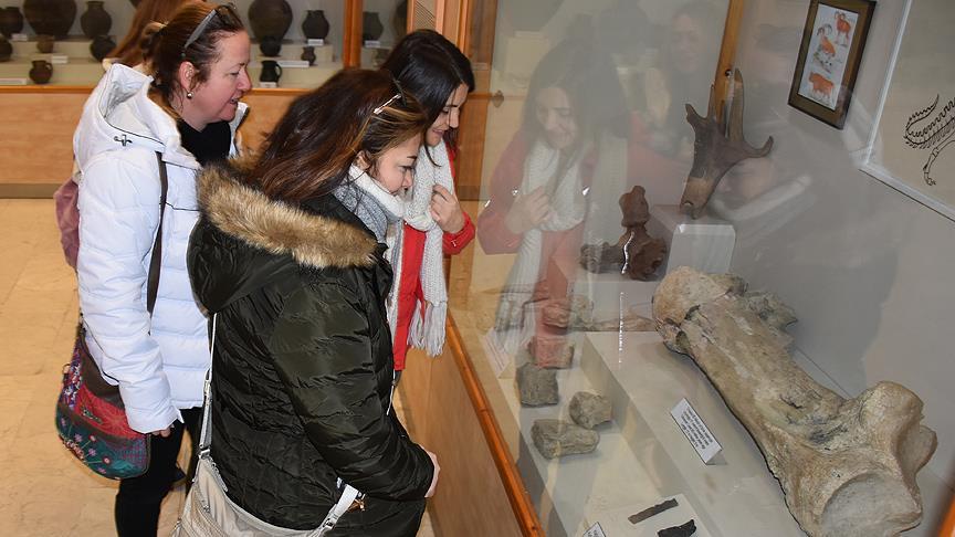 Kars'ta sergilenen dinozor fosiline yoğun ilgi