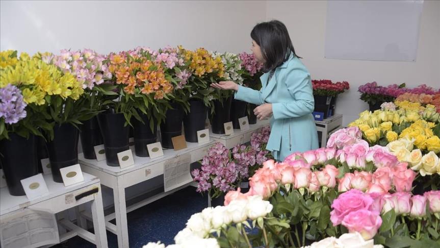 Las flores colombianas conquistarán el mercado estadounidense