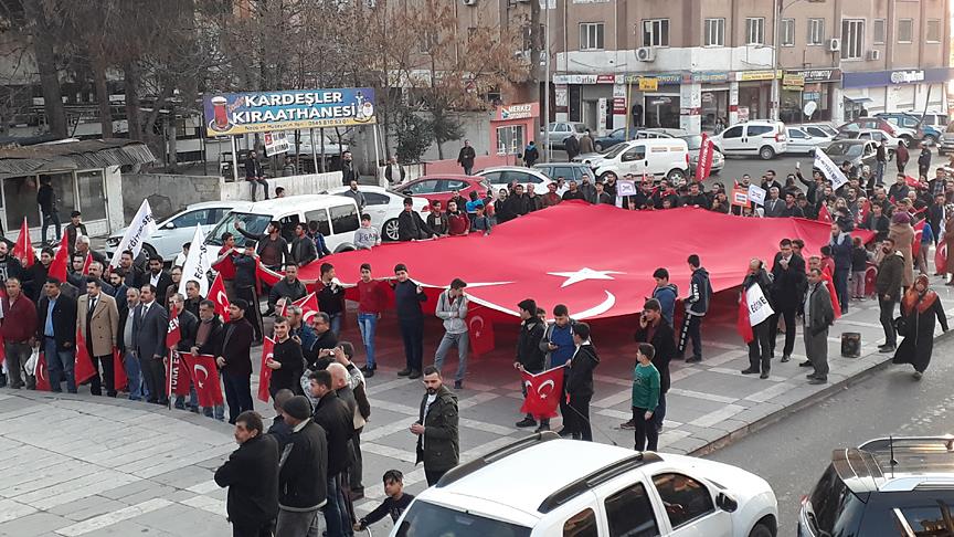 Birecik'te Zeytin Dalı Harekatı'na destek yürüyüşü