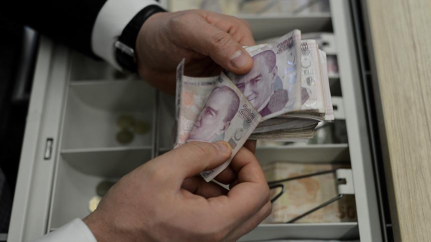 Turkey's budget posts $450M surplus in January 