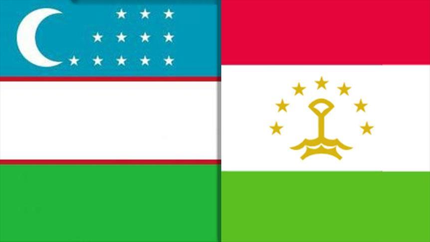 دیدار نمایندگان ازبکستان و تاجیکستان برای تعیین خطوط مرزی