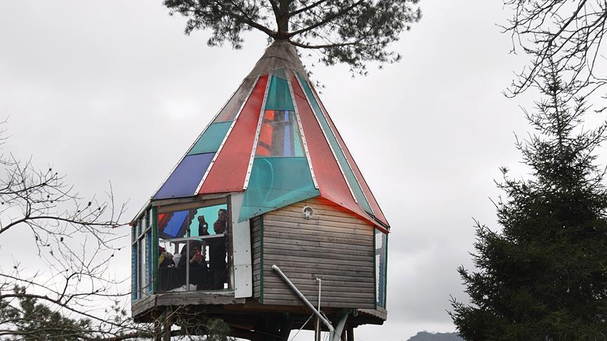 "كوخ فوق الشجرة".. حلم الطفولة يتحول لمكان سياحي في تركيا