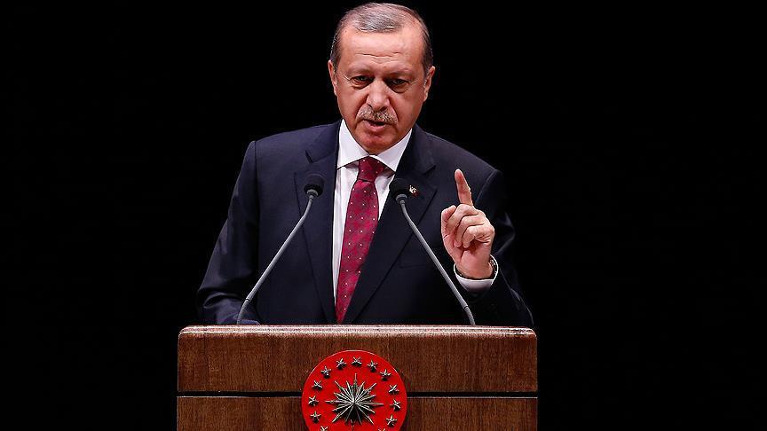 Эрдоган высоко оценил действия турецкой артиллерии в Африне 