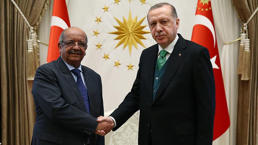 Erdoğan, Cezayir Dışişleri Bakanı Mesahil'i kabul etti