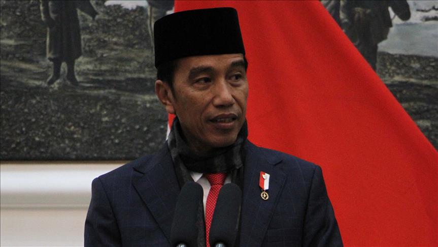 Indonesia: Ruling party backs Widodo for next president