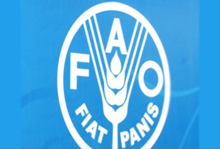 UN body FAO appoints new Turkey representative