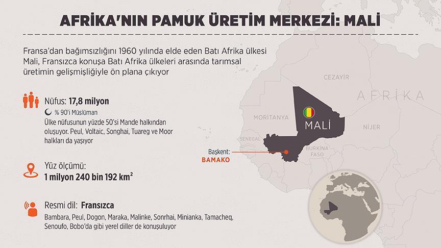 Afrika'nın pamuk üretim merkezi: Mali