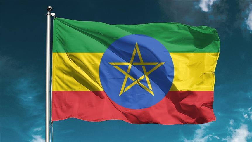 رئيس وزراء إثيوبيا المقبل .. الشباب في مواجهة الحرس القديم (تقرير)