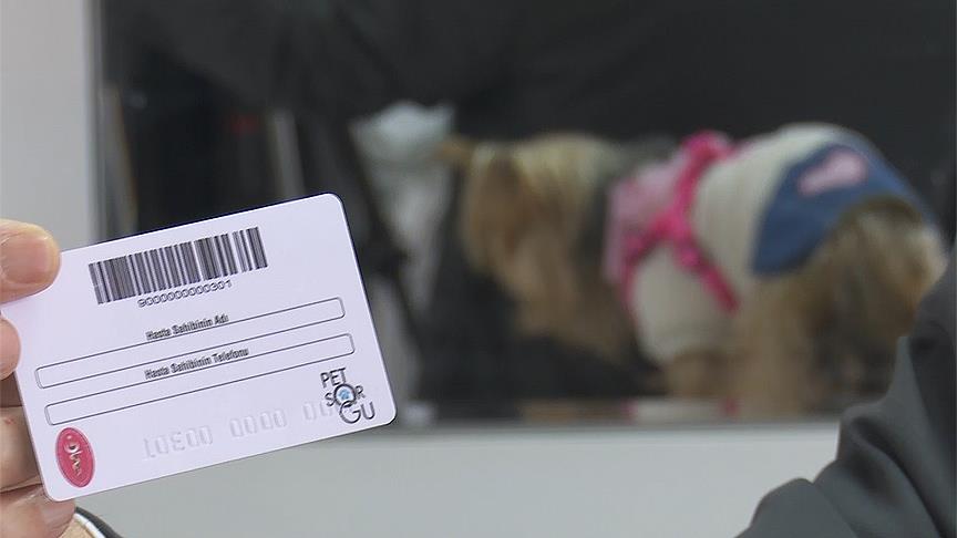 Mikrocipli Kimlik Hayvanlara Zarar Vermeyecek
