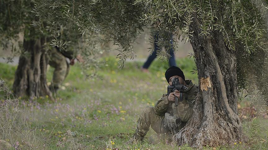 Opération Rameau d'olivier: Neutralisation de 2 612 terroristes, depuis le 20 janvier
