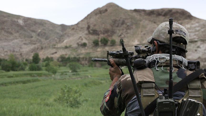 Afghan government says 171 terrorists killed