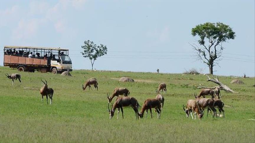 RDC – Parc des Virunga: Un écosystème à la croisée des conflits