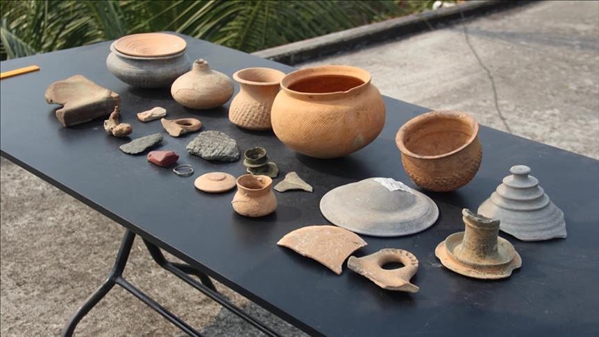 Hutan Bangladesh ungkap rahasia sejarah kuno