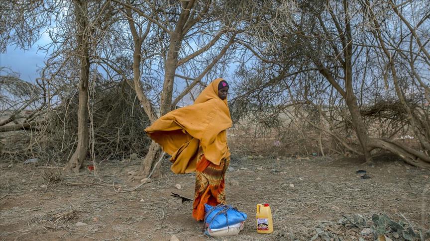 Afrika Selatan hadapi bencana kekeringan nasional