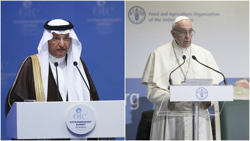 Organization of Islamic Cooperation head meets pope