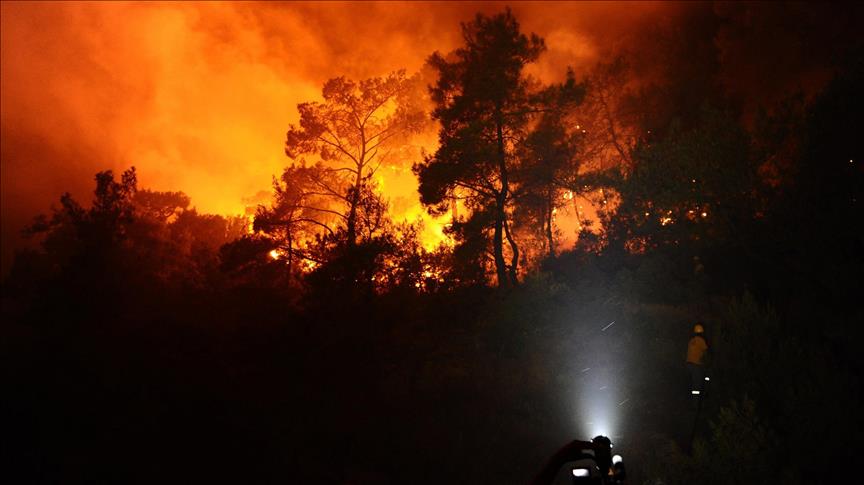 Šumski požari u Australiji: Izgorjelo najmanje 88 kuća