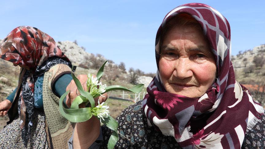 Dağdan toplanan otlar kadınların gelir kapısı oldu