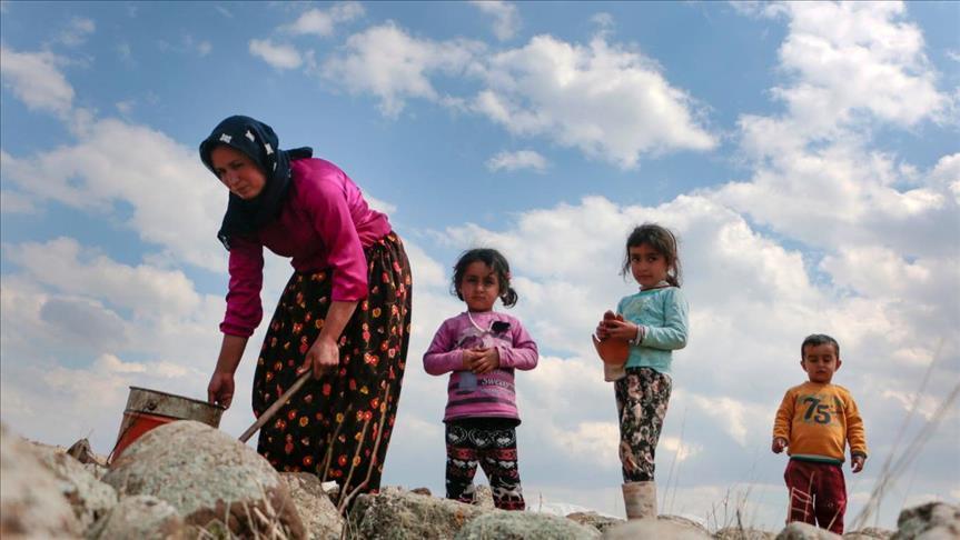 "العكوب".. أكلة فلسطينية تجمع نساء نابلس حولها كل عام (تقرير)