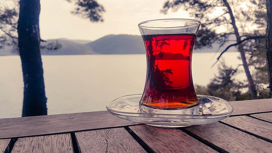 'Çay kültürümüzü dünyaya yaymak istiyoruz'