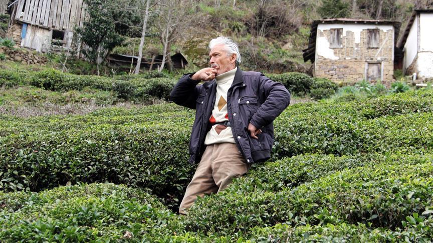 Turkey's whistled language to get alphabet