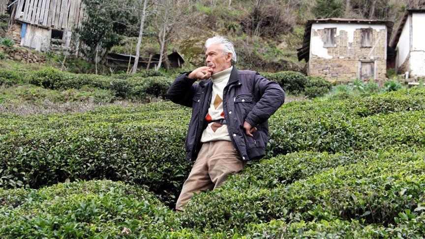 Turkey's whistled language to get alphabet 