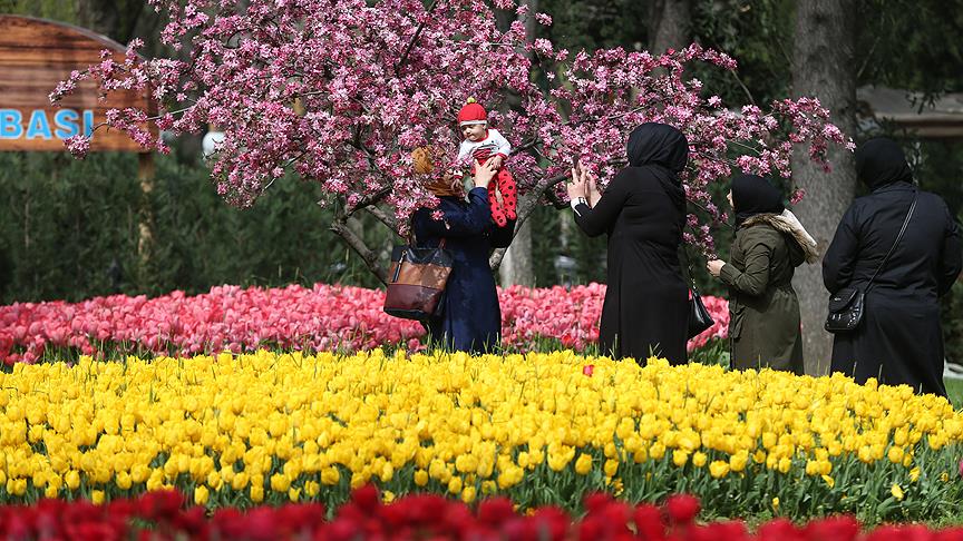 Bursa 5 milyon çiçekle renklendi