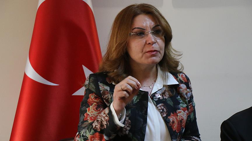 CHP Genel Başkan Yardımcısı Karaca'dan Akkuyu Nükleer Santrali eleştirisi