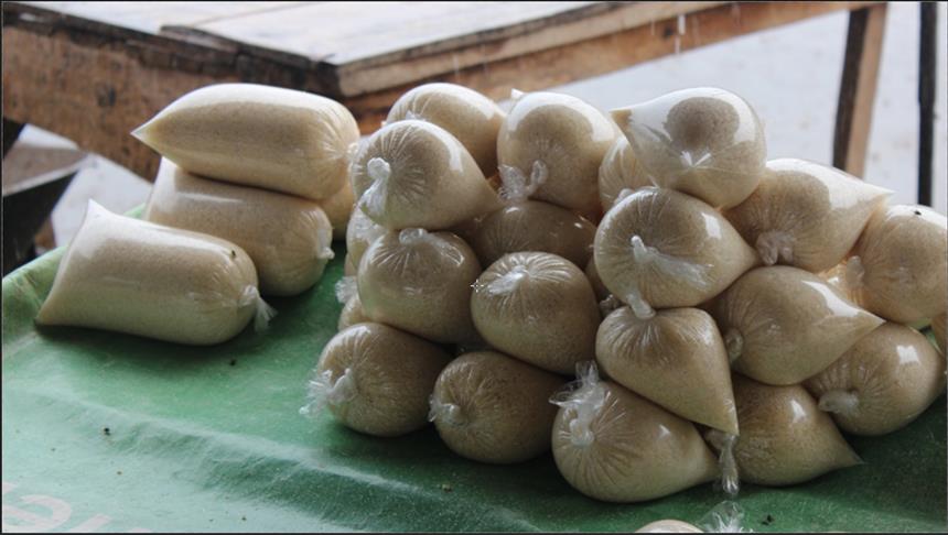 هل تنجح الدول المغاربية في إدراج "الكسكسي" ضمن التراث العالمي؟ (تقرير)