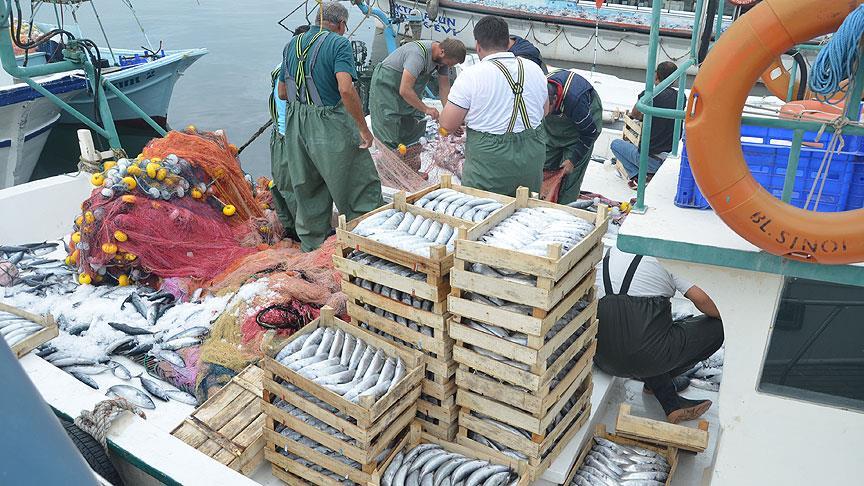 Denizlerde av yasağı başlıyor