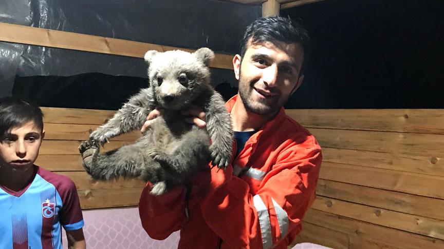 Yol kenarında buldukları yavru ayıyı sütle beslediler