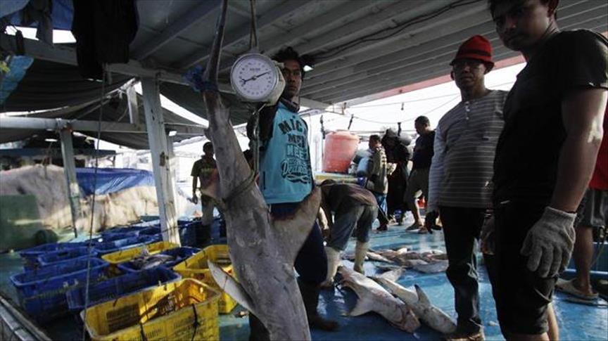 Indonesia ancam hentikan impor ikan Norwegia