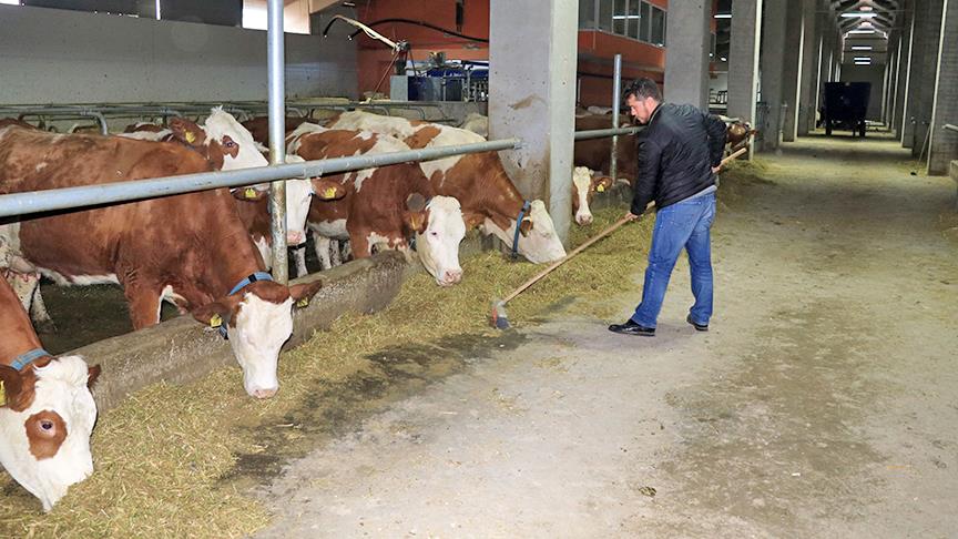 Kırsal kalkınmada 128 projeye 36,2 milyon liralık destek