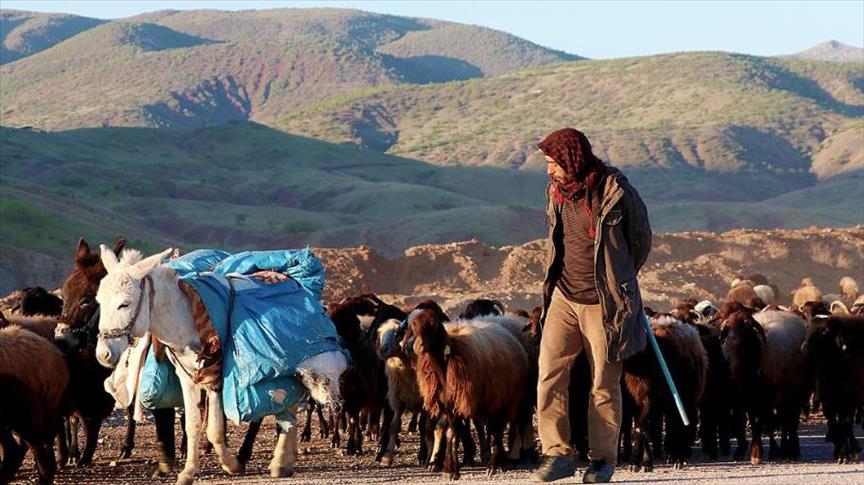 رُحّل تركيا.. لقمة العيش صعبة المنال