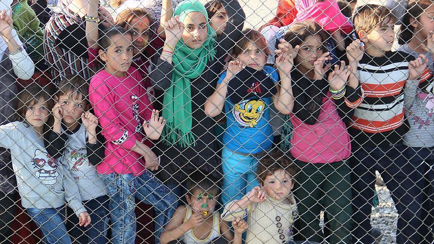 Дети бельгии Дети бельгии