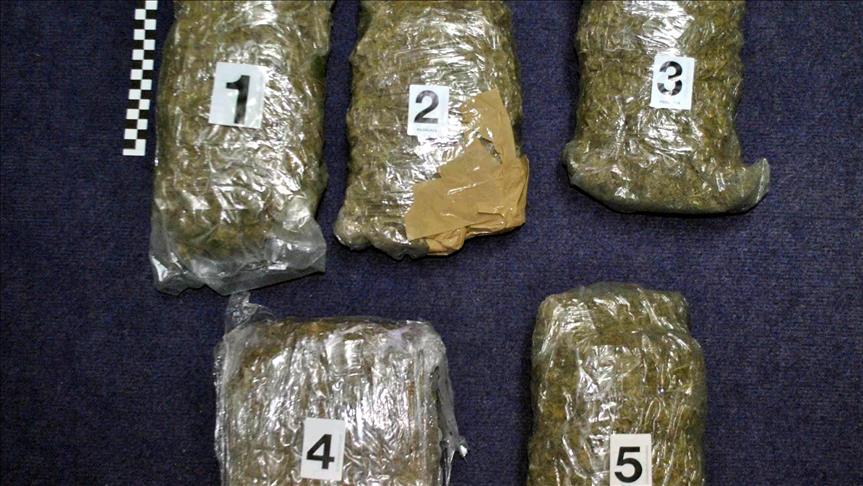 Kod Novog Pazara zaplijenjena tri kilograma marihuane 