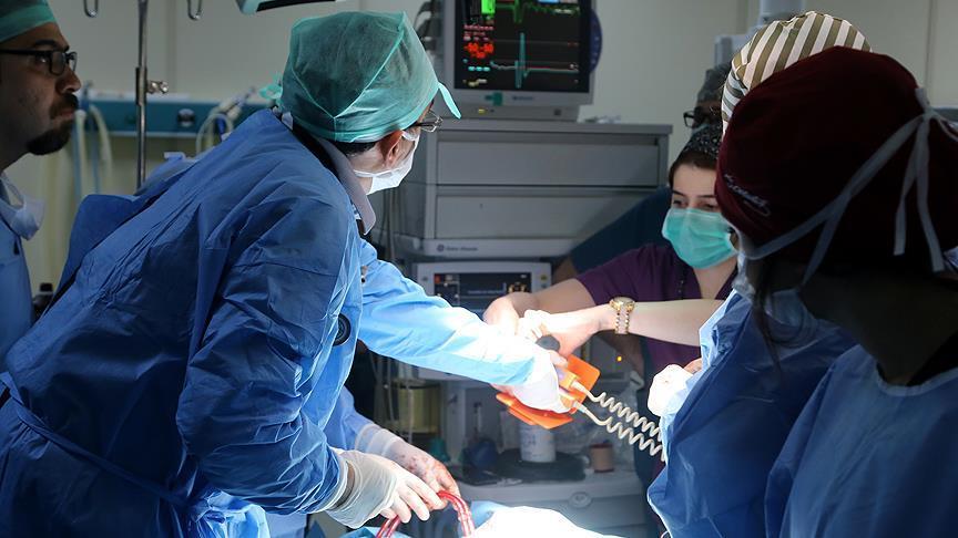 Circulatory system disease main cause of death: Turkey