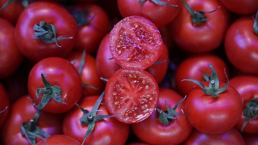 Russia lifts sanctions on Turkish tomato exporters