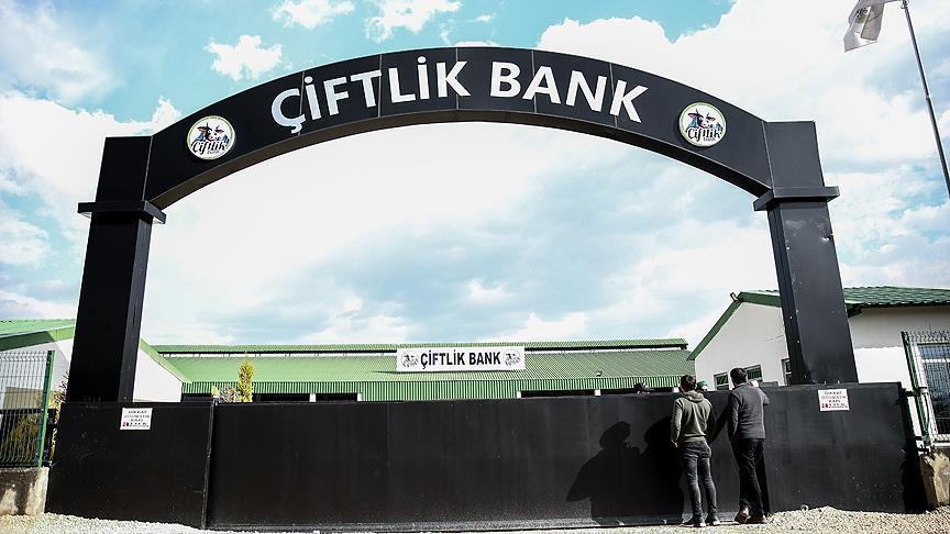 Çiftlik Bank'ın yazılımcısı tutuklandı