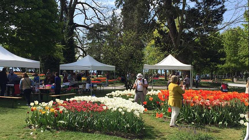 İsviçre'de Lale Festivali