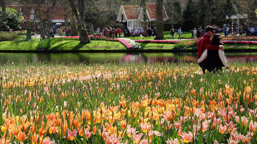 Comienza el festival de tulipanes turcos en Suiza