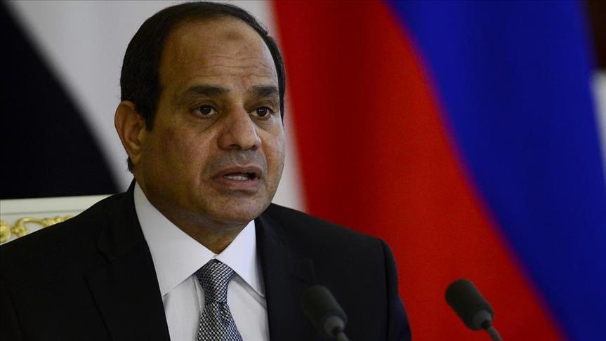 السيسي يبحث مع "المعهد اليهودي الأمريكي" تسوية القضية الفلسطينية
