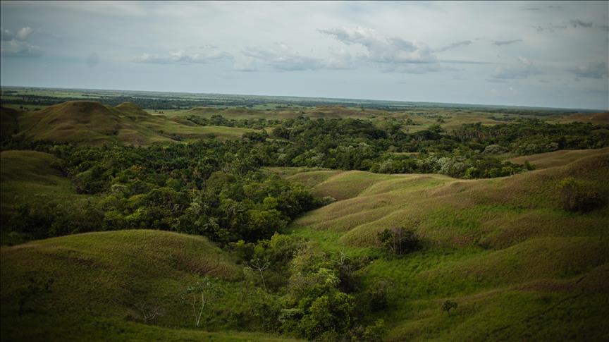 Serranía de Manacacías, un paraíso colombiano en riesgo de desaparecer