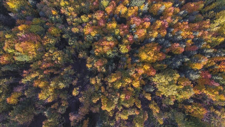 France: La "dette écologique" s'aggrave
