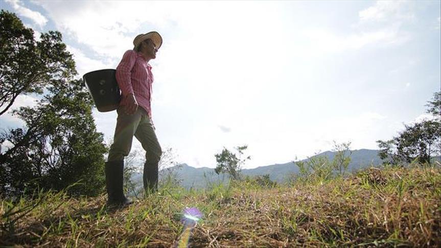 En Colombia se han creado más de 400 empresas en zonas afectadas por la guerra