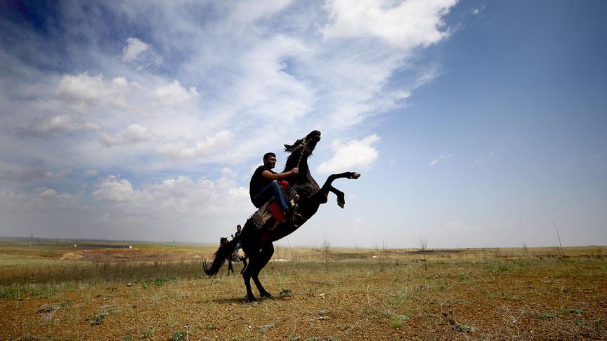 Anadolu’nun renkli şenliği: Lille Yörük Şöleni