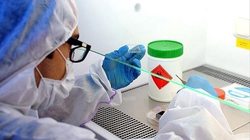 OMS, lista para desplegar vacunas contra el ébola en el Congo