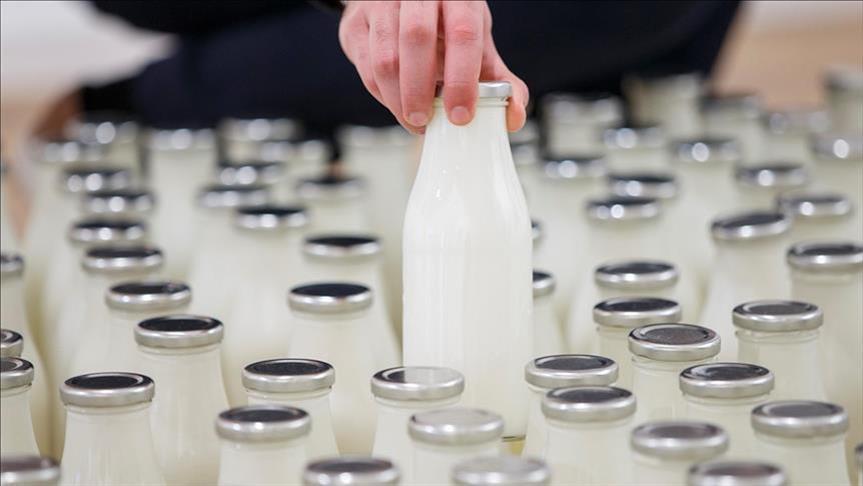 Turkey's milk production up over 17 percent in March