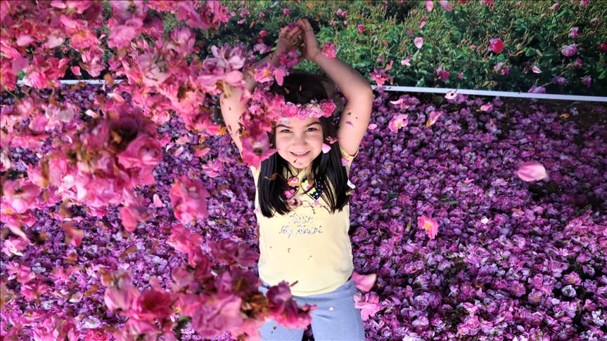 Розовые сады Испарты - излюбленное место туристов в Турции